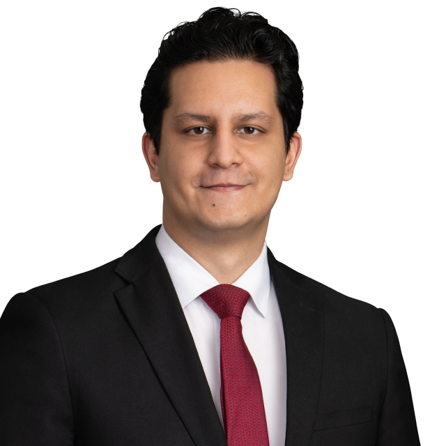 Syed T. Hasan
